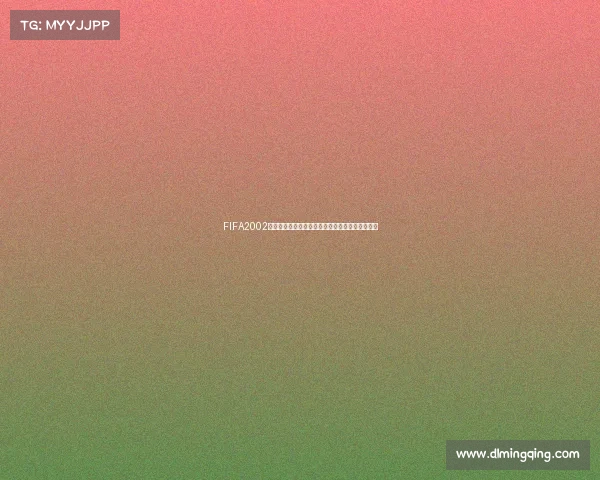 FIFA2002世界杯补丁经典回顾与最新安装使用全攻略指南版